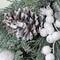 24" Frosted Artificial Mixed Pine and Pine Cone Wreath with Berries, Unlit